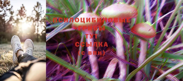 марки lsd Ельня
