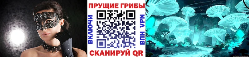 Псилоцибиновые грибы Magic Shrooms  ссылка на мегу маркетплейс  Брянск 