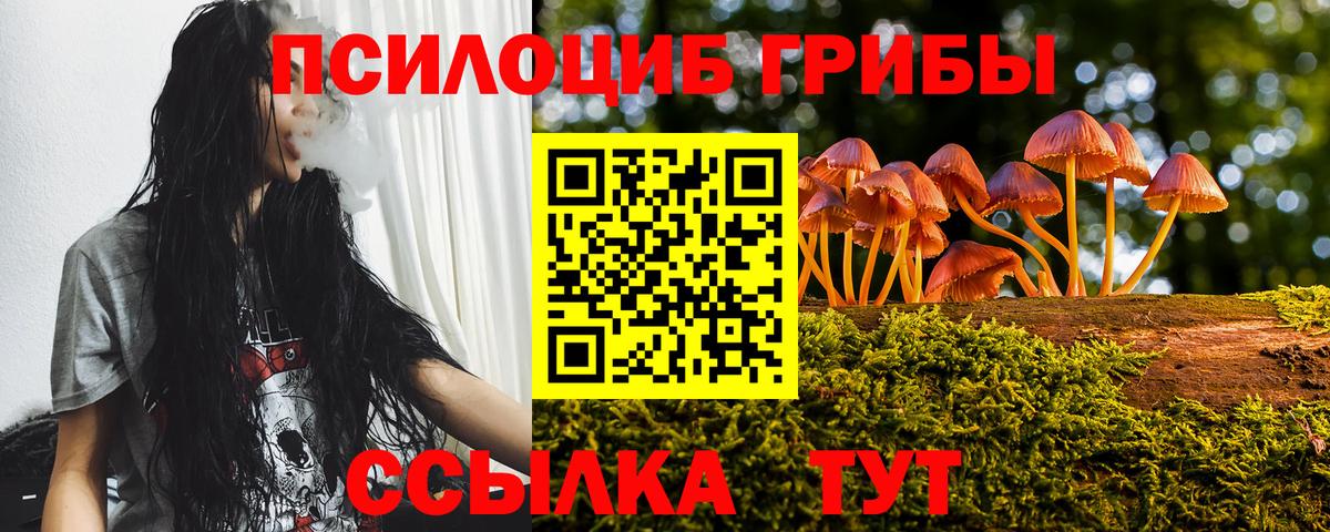 Псилоцибиновые грибы прущие грибы Брянск