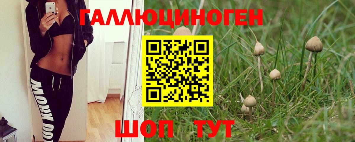 Псилоцибиновые грибы мухоморы Брянск