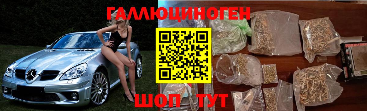 Брянск  Псилоцибиновые грибы Cubensis  Вход с VPN 