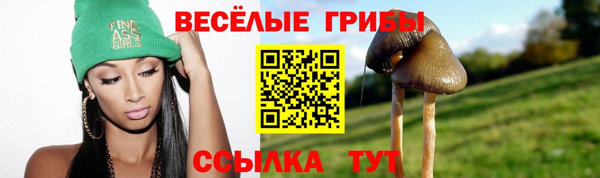 Псилоцибиновые грибы мицелий  Брянск 