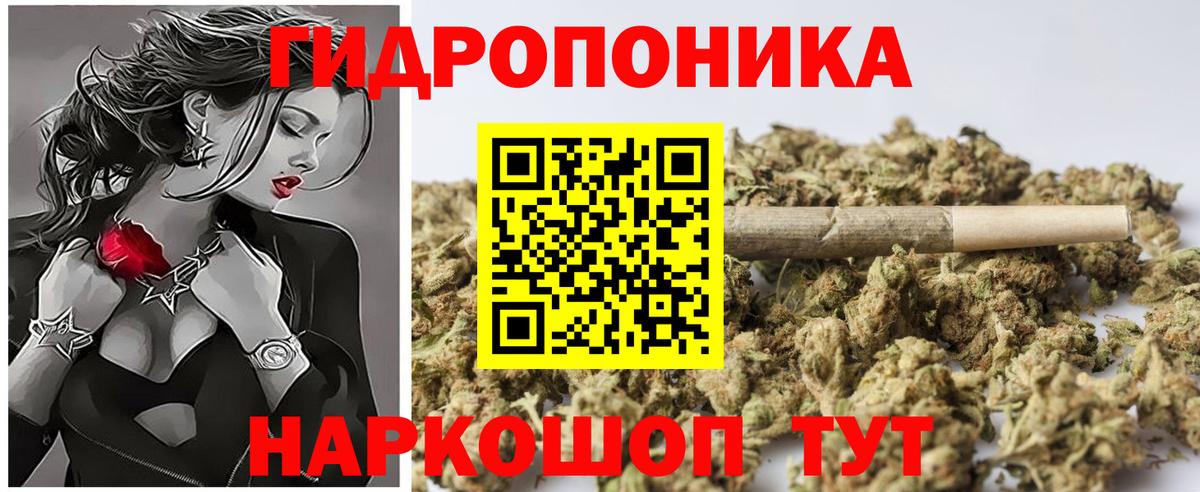 Каннабис Bruce Banner  Брянск  Бошки Шишки план  Бошки Шишки AK-47 